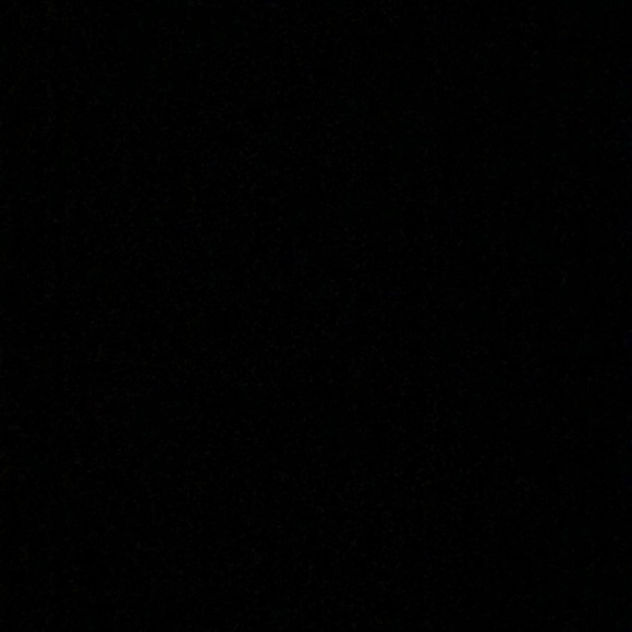 Meet your Posher, Haley - Picture 1 of 1